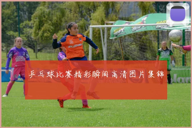 乒乓球比赛精彩瞬间高清图片集锦