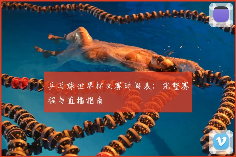 乒乓球世界杯决赛时间表:完整赛程与直播指南