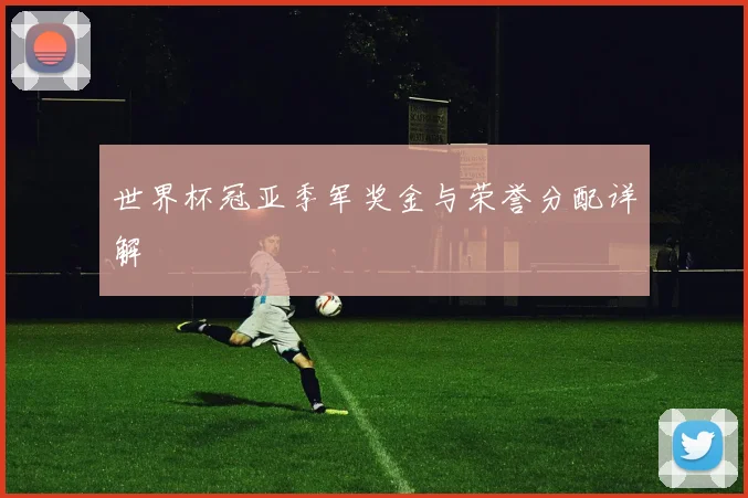 世界杯冠亚季军奖金与荣誉分配详解