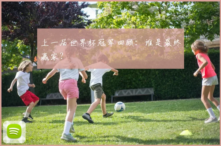 上一届世界杯冠军回顾：谁是最终赢家？