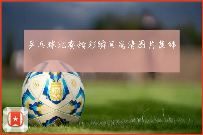 乒乓球比赛精彩瞬间高清图片集锦