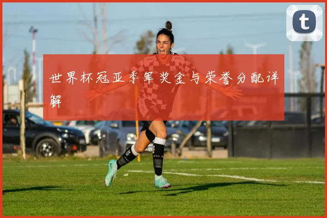 世界杯冠亚季军奖金与荣誉分配详解
