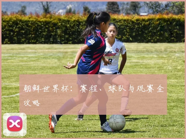 朝鲜世界杯：赛程、球队与观赛全攻略